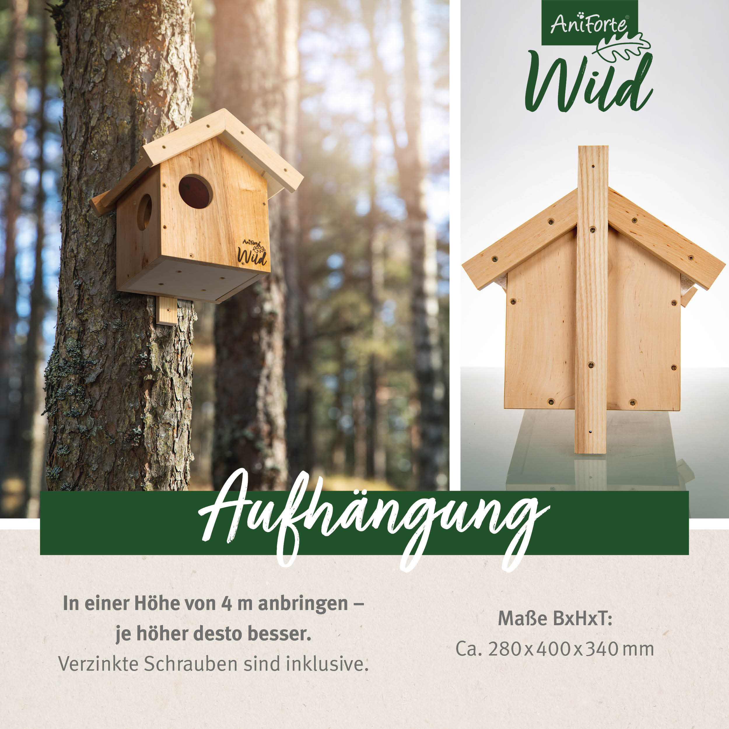 Aniforte Eichhörnchen Aniforte Wild Eichhörnchen Kobel