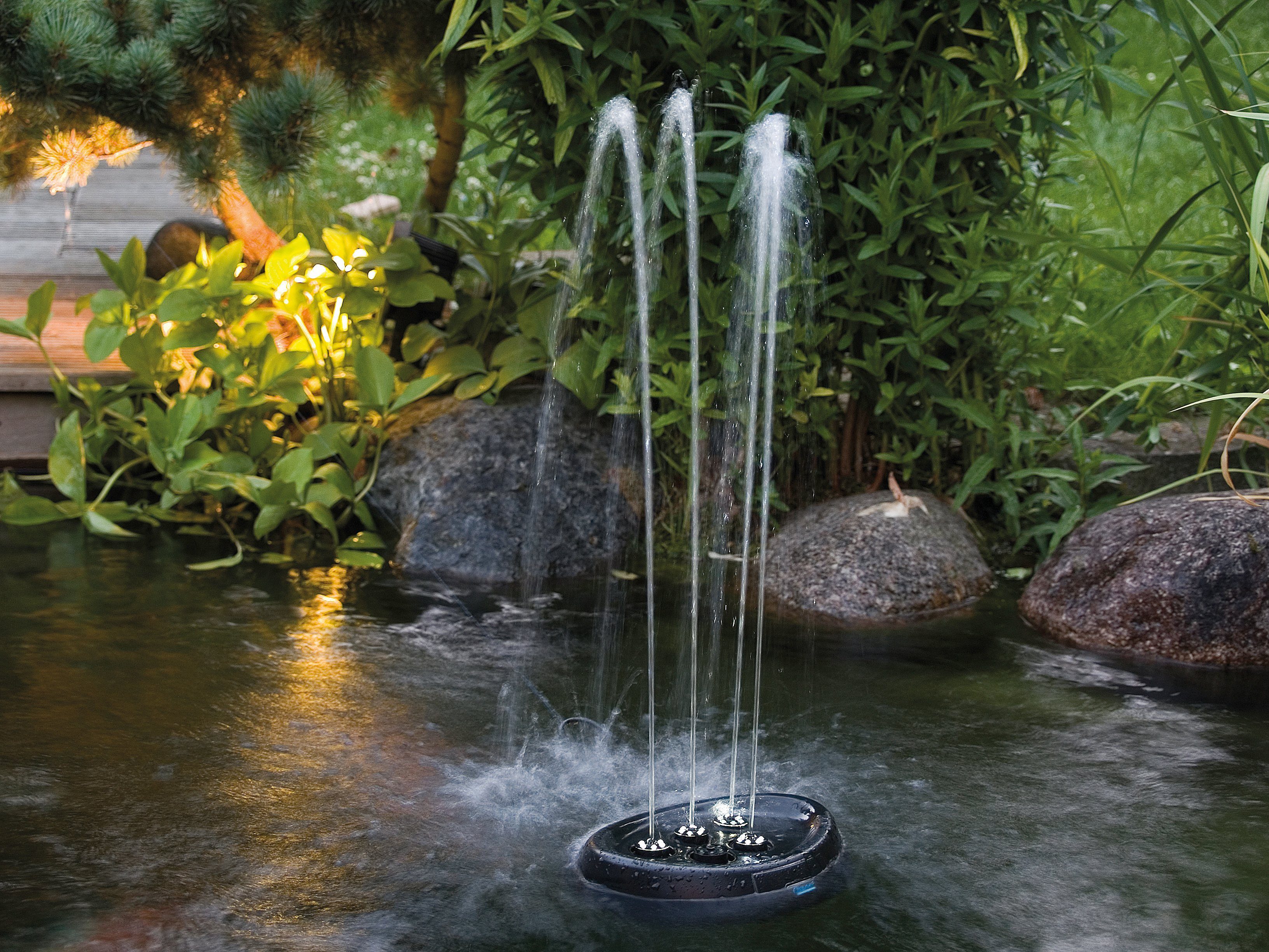 OASE Wasserspeier Water Starlet, BxLxH: 28,5x37,5x17,5 cm, mit LED-Beleuchtung