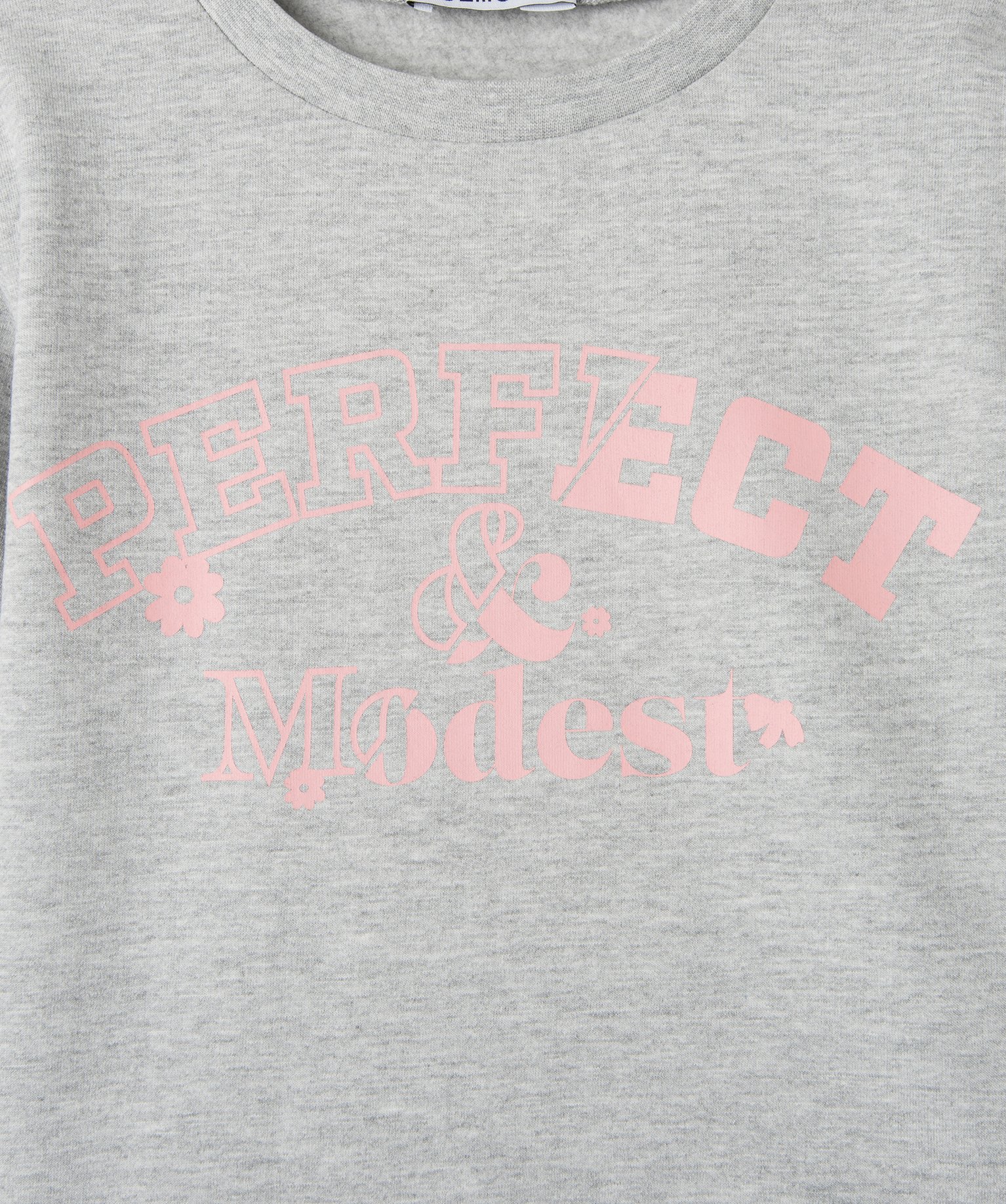 Sweat molletonné avec motif et message fille gris | GEMO