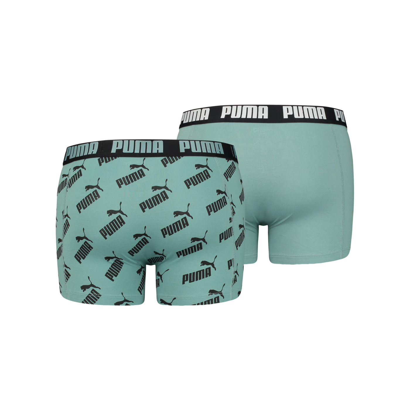 PUMA AOP Boxer 2er Pack Grün F012
