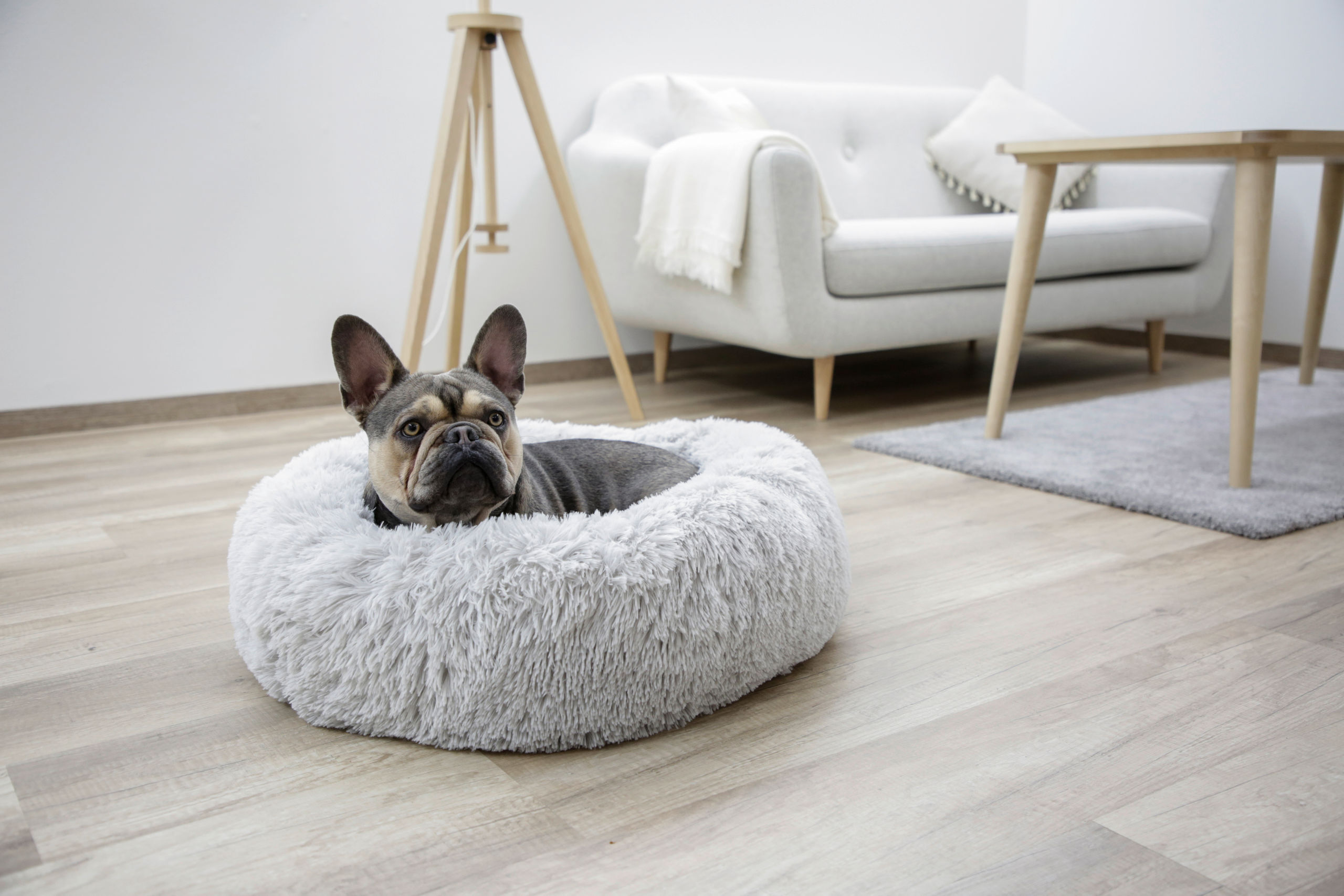 Kerbl Hundebetten Kerbl Pet Kuschelbett Fluffy, Hellgrau, Rund, Ø60cmx18cm