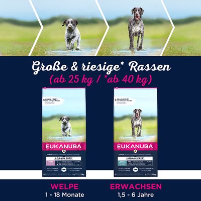 Eukanuba Grain Free Puppy Large Breed mit Lachs