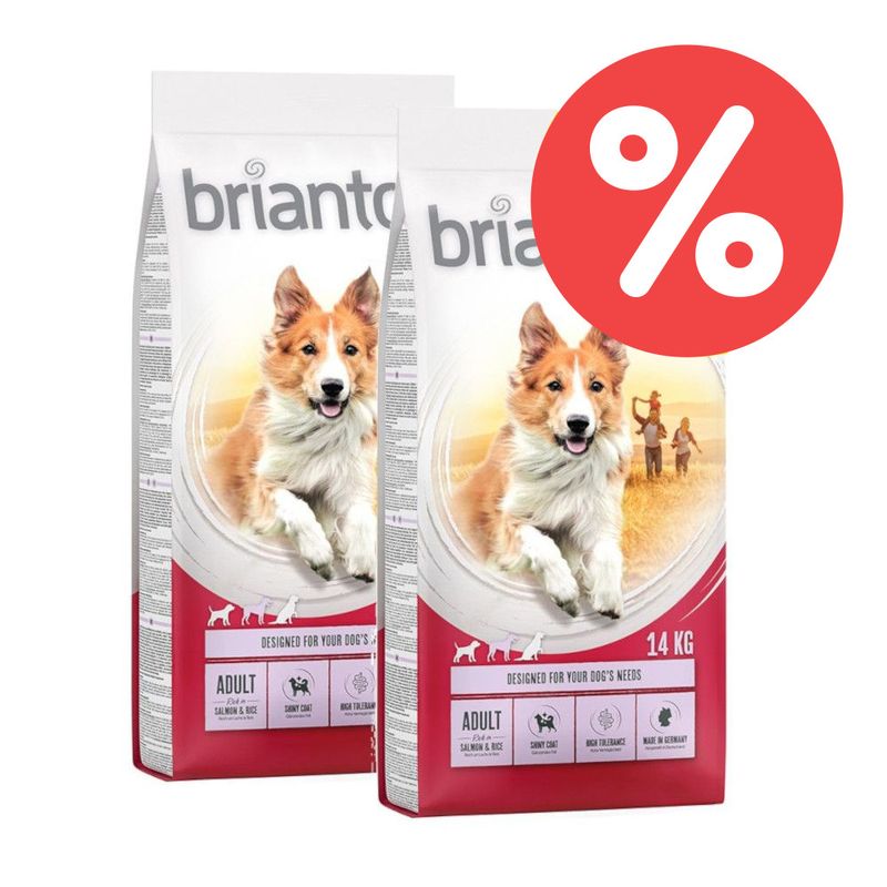 Sparpaket Briantos Trockenfutter