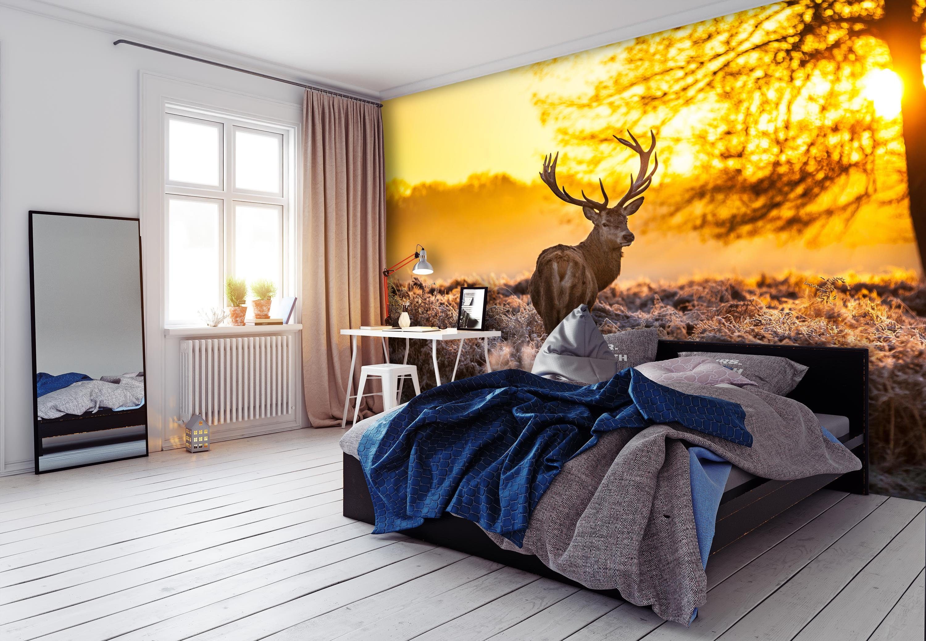 wandmotiv24 Fototapete Wald mit Hirsch, glatt, Wandtapete, Motivtapete, matt, Vliestapete