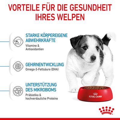 Royal Canin Mini Puppy