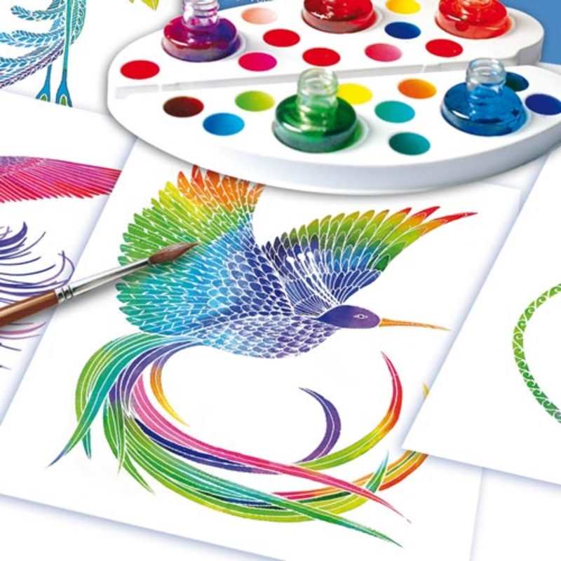 Aquarellum junior oiseaux de paradis Sentosphère