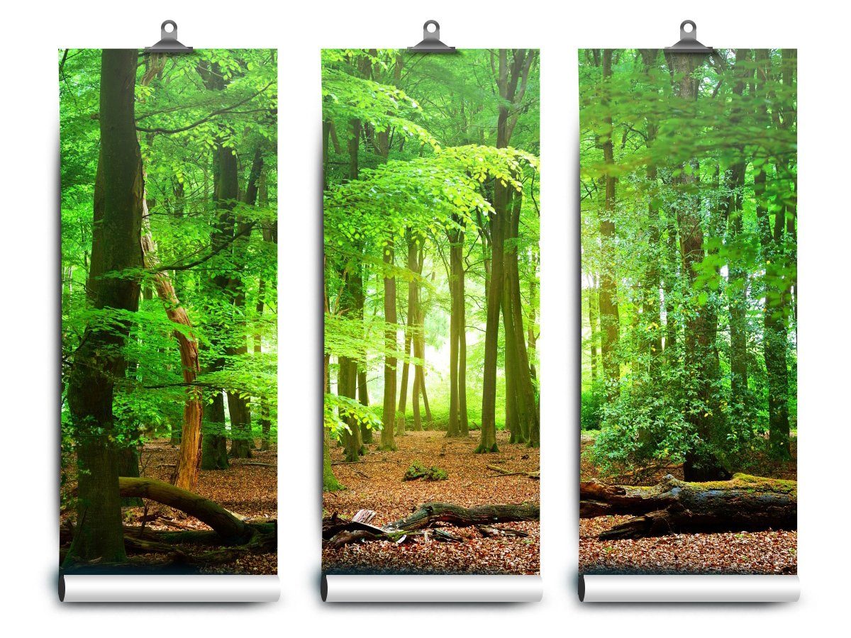 Tulup Fototapete Fototapete Vliestapete XXL Wand Modern Tapete Wohnzimmer - Wald, botanisch