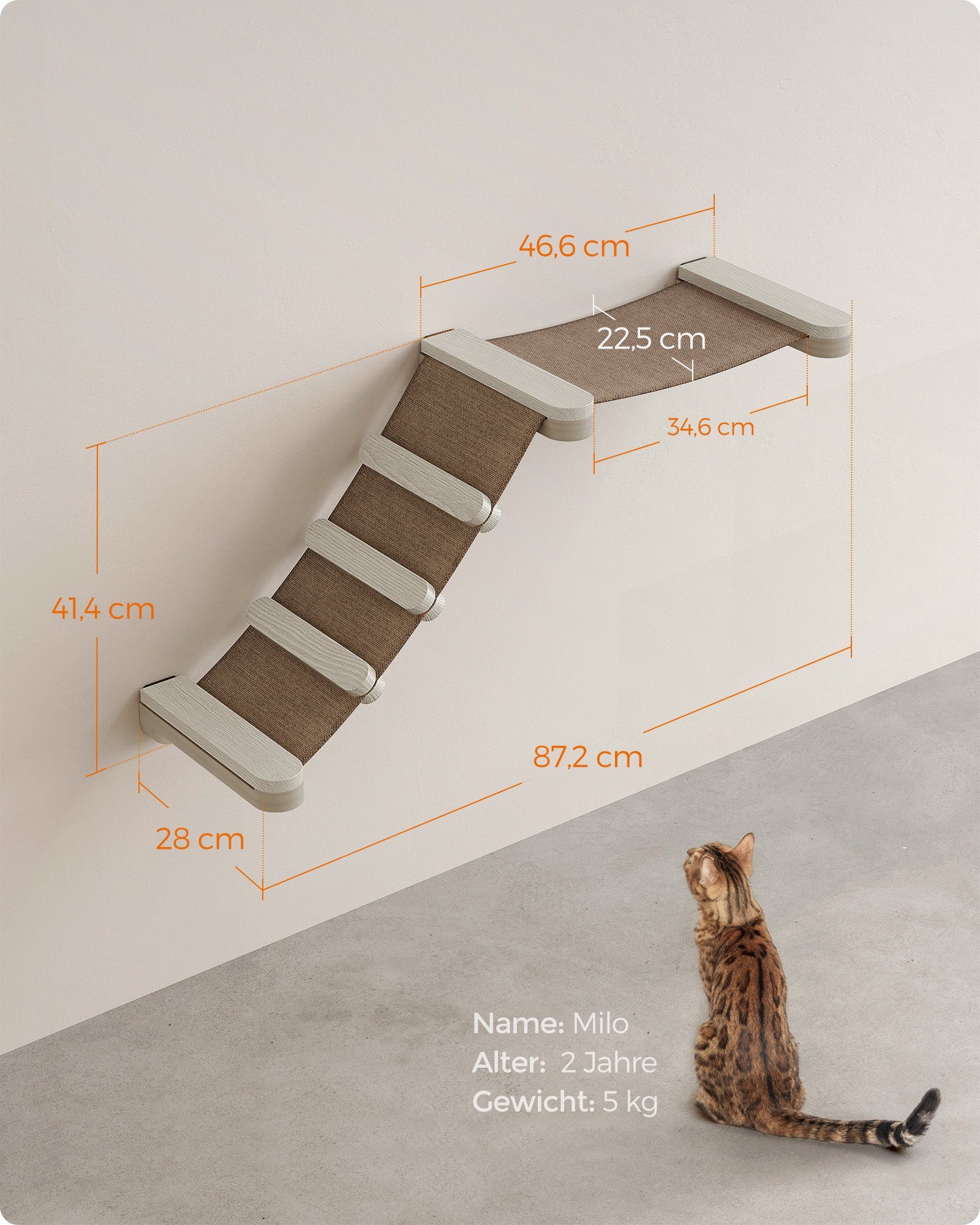 FEANDREA Katzen-Kletterwand, Kratzbaum Clickat Katzen-Kletterhängematte mit Leiter