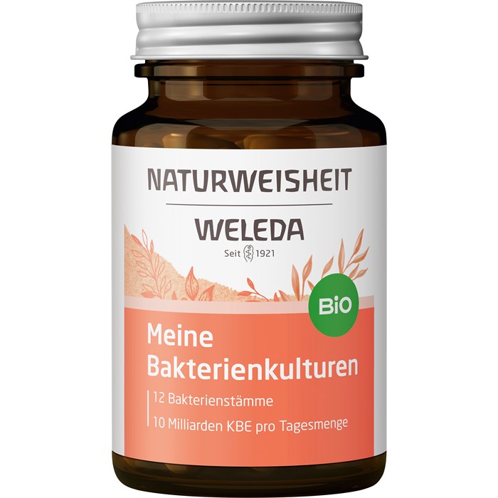 Naturweisheit Meine Bakterienkulturen