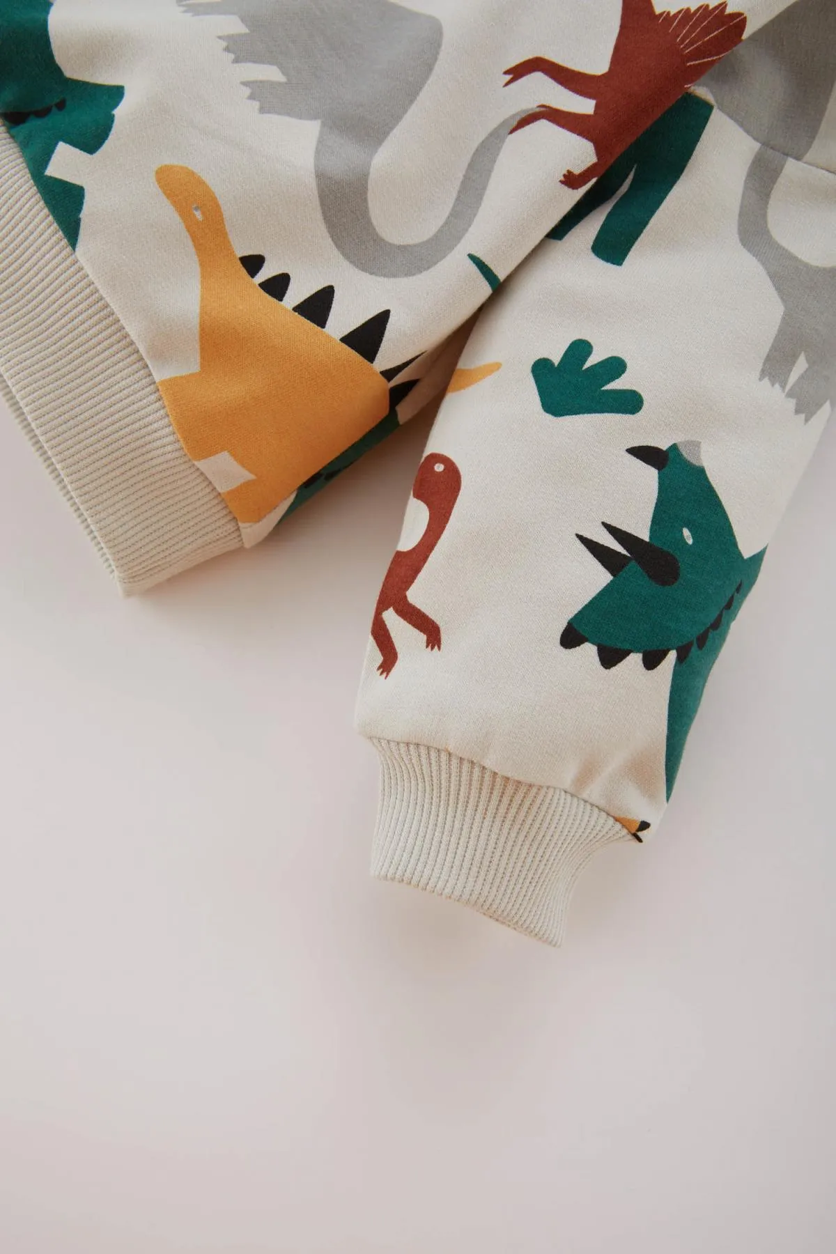DeFacto  2-teiliges Set mit Sweatshirt und Jogginghose mit Dinosaurier-Aufdruck für Babys (Jungen) B9496a524sp