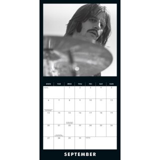 ** % SALE % ** Danilo Calendar - The Beatles Collector's Edition Record Sleeve (EN)