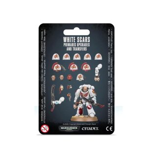 Space Marines White Scar Primaris Upgrades & Transfers (55-23)