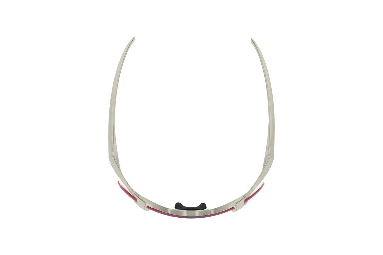 Alpina Hawkeye QV cool-grey matt / rainbow mirror lens