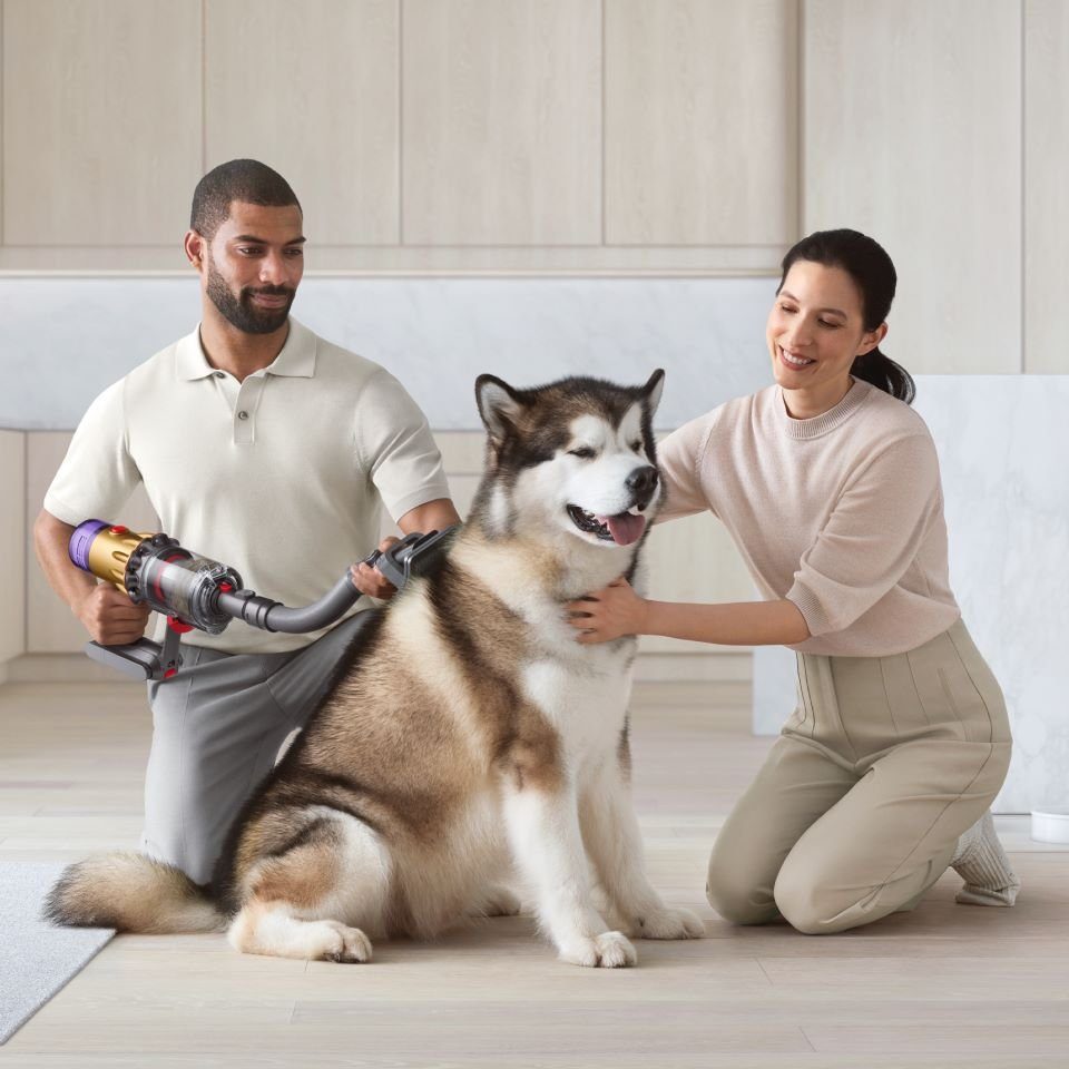 DYSON Staubsaugerdüsen-Set Haustierpflegeset für den Dyson V7, V8, V10, V11, V12, V15, Gen5