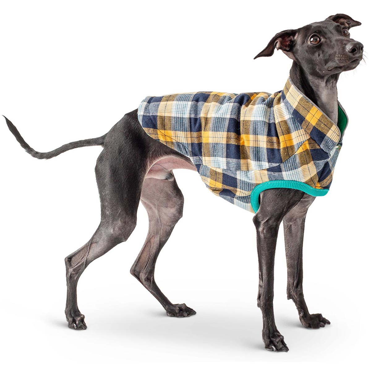 GF Pet Reversible Trail Jacke grün günstig kaufen bei ZooRoyal
