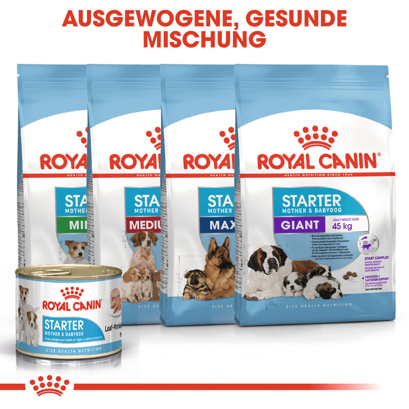 ROYAL CANIN Hundenassfutter ROYAL CANIN Starter Mousse 12x195g