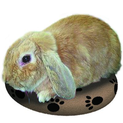 SnuggleSafe Heizkissen für Haustiere
