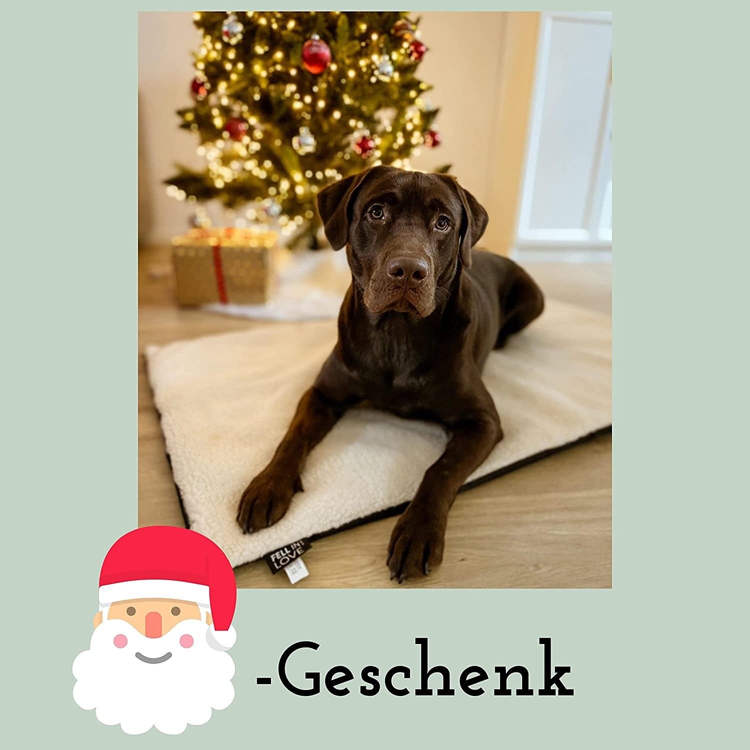 riijk Tierdecke Heizdecke, Wärmedecke für Hunde und Katzen, Vlies, Selbstheizende Hundedecke & Katzendecke