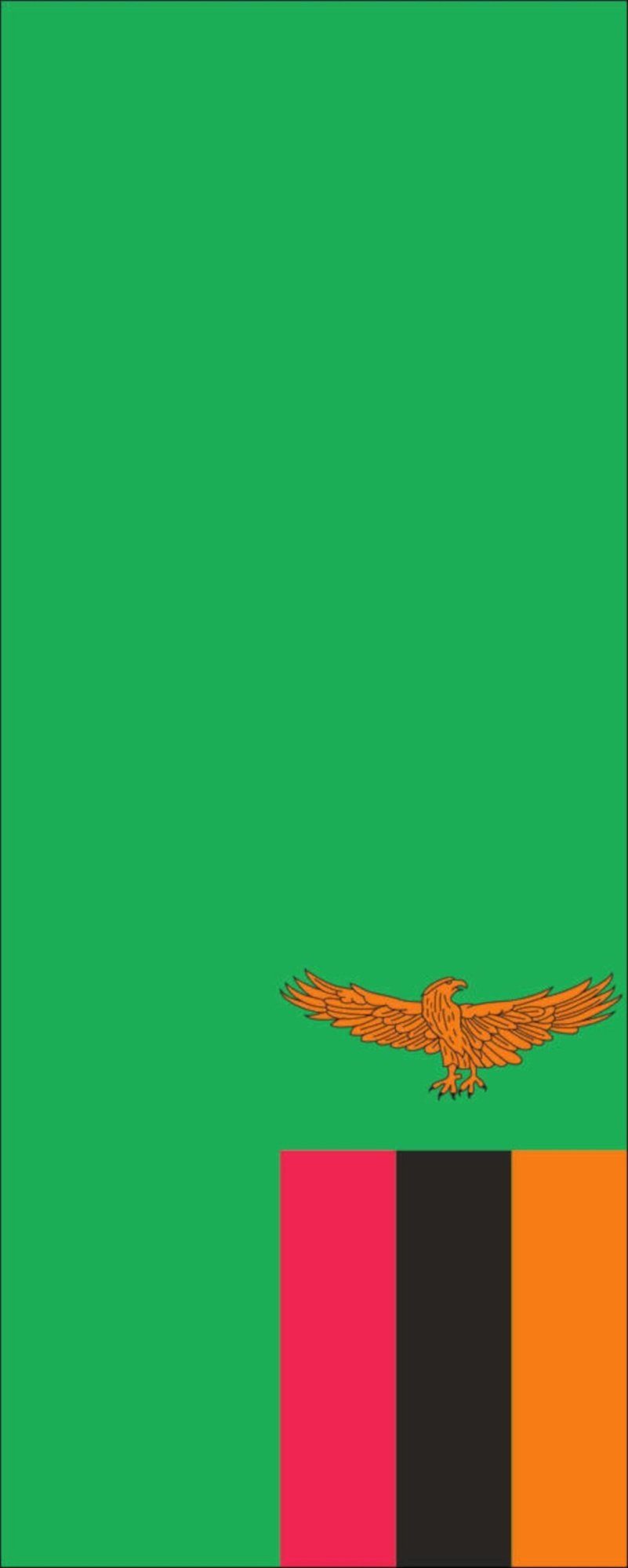 flaggenmeer Flagge Flagge Sambia 110 g/m² Hochformat