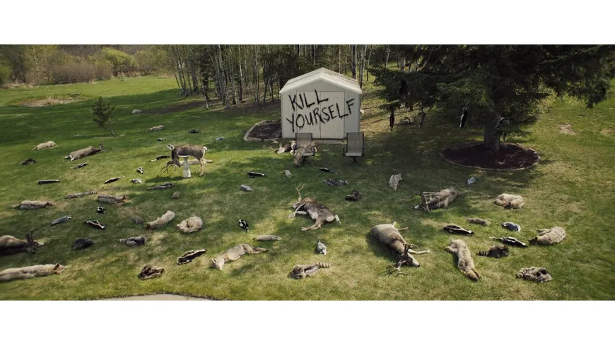 The Curse of Rosalie