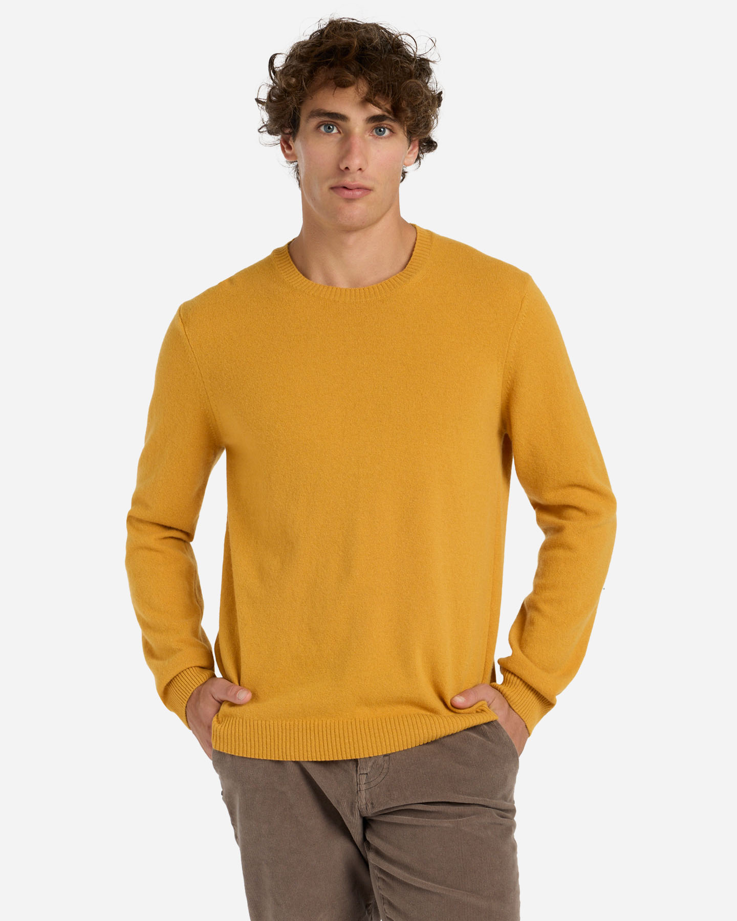 Maglione Best Company Janjeća vuna M BCM520W24-1175