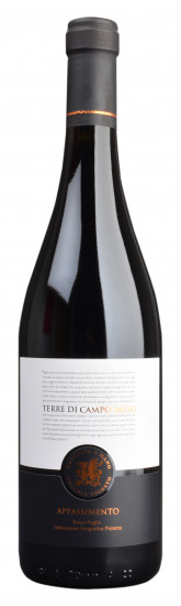 2022 Appassimento Puglia IGP halbtrocken - Terre di Campo Sasso