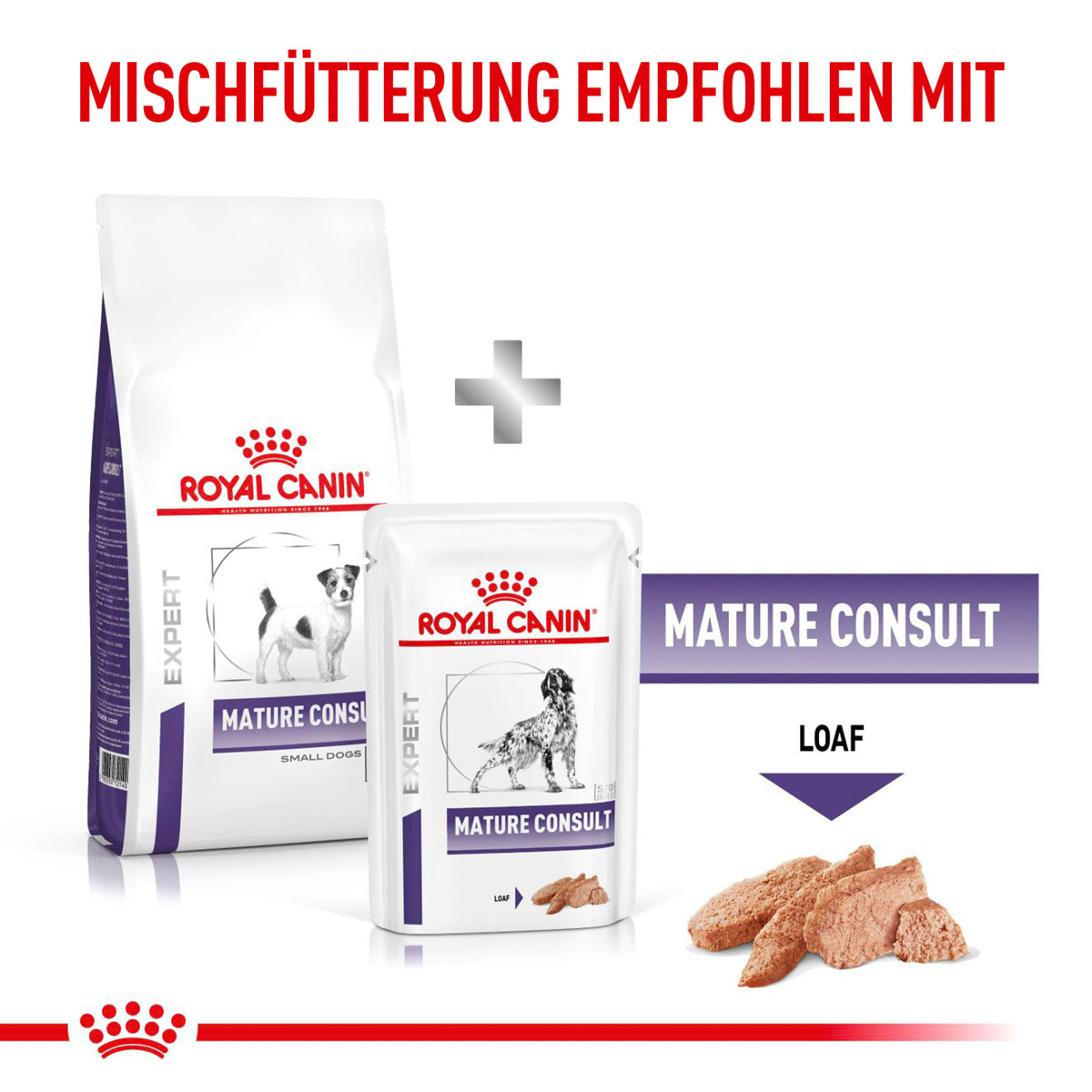 ROYAL CANIN Expert MATURE CONSULT SMALL DOGS Trockenfutter für Hunde