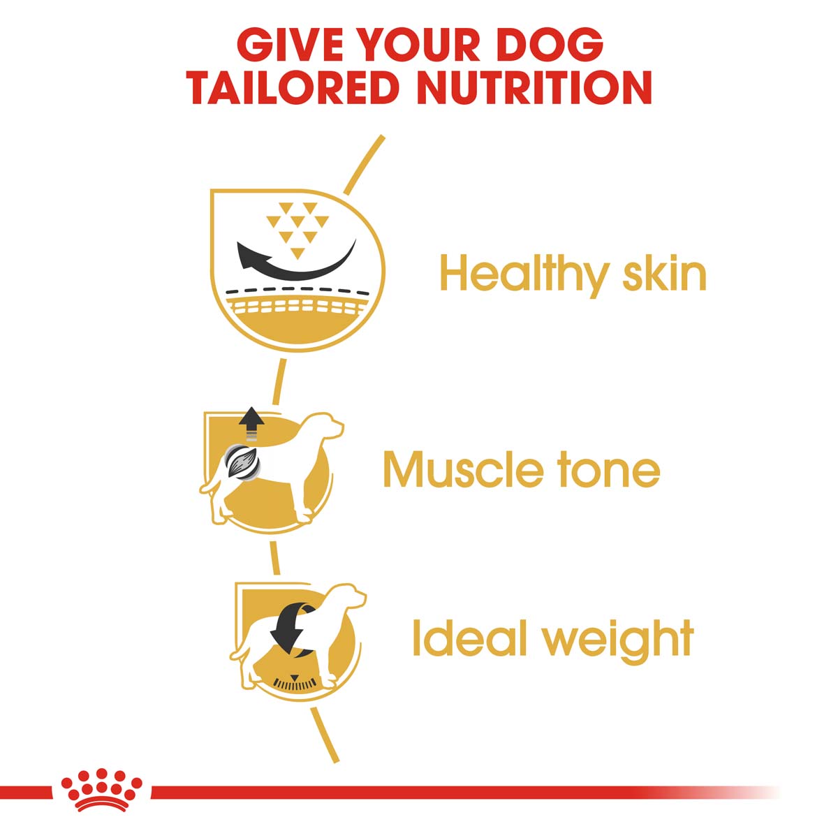 ROYAL CANIN Pug Adult Hundefutter trocken für Mops bei ZooRoyal