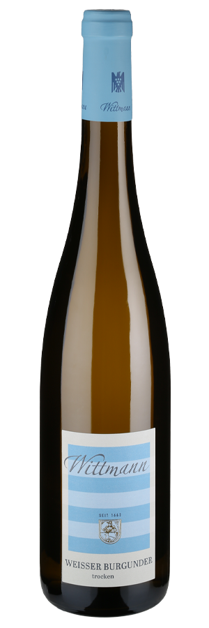 Weisser Burgunder Estate trocken (Bio) 2022