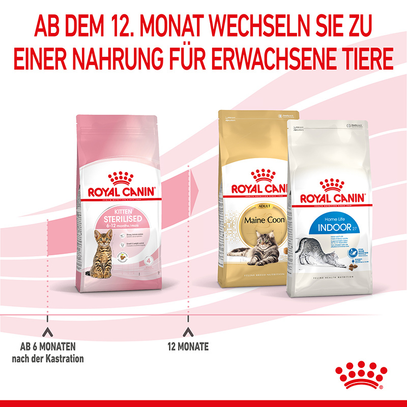 ROYAL CANIN Trockenfutter ROYAL CANIN Kitten Sterilised 2 kg