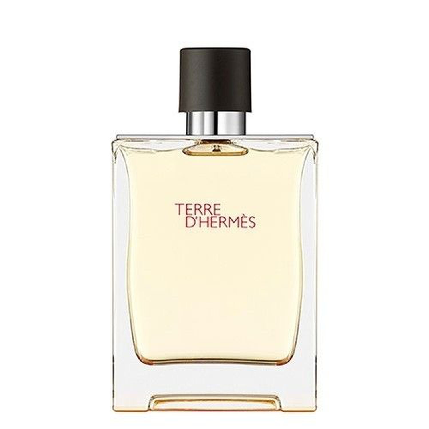 Hermès Terre d'Hermès Eau de Toilette
