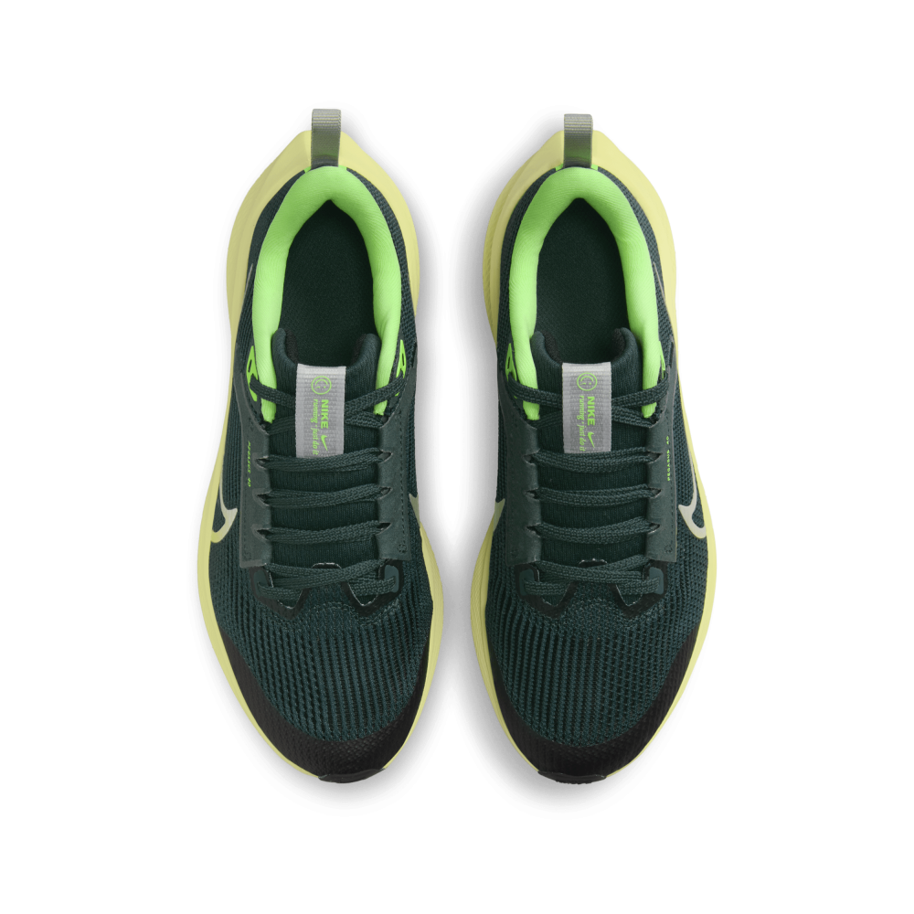 Nike Air Zoom Pegasus 40 DX2498-301 / grün