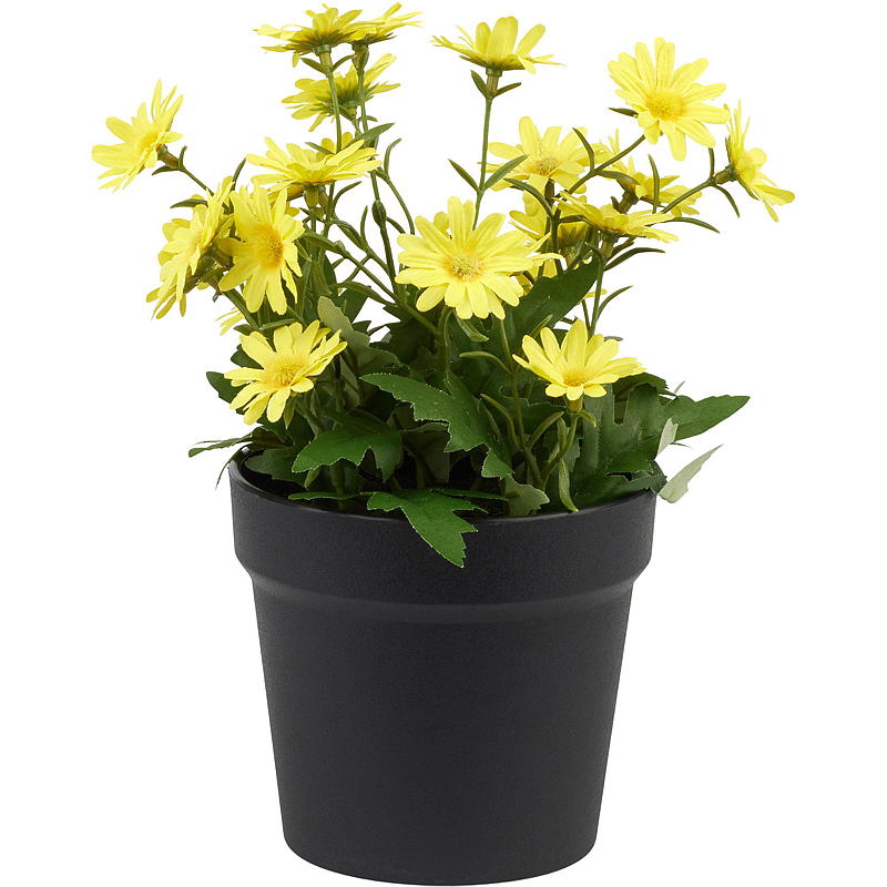 Home Margeritt 27 cm