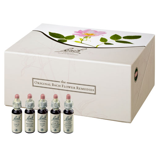 BACHBLÜTEN 10 ml Set Tropfen  400 ml  Tropfen