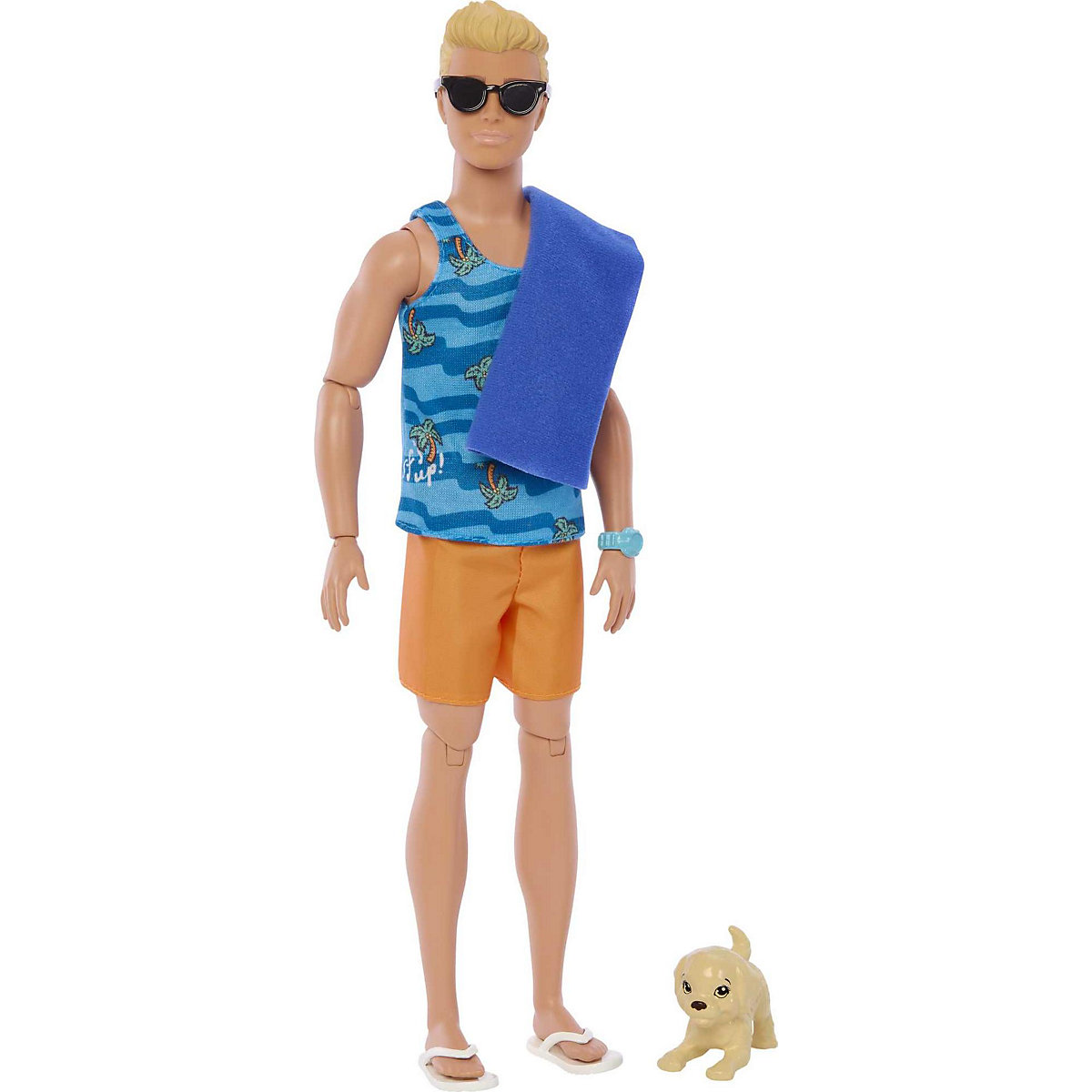 Barbie Surf-Puppe Ken & Hund Accy