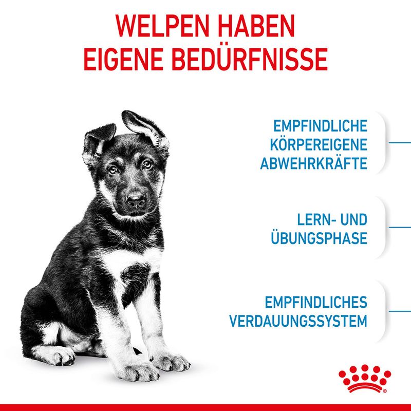 Royal Canin Maxi Puppy