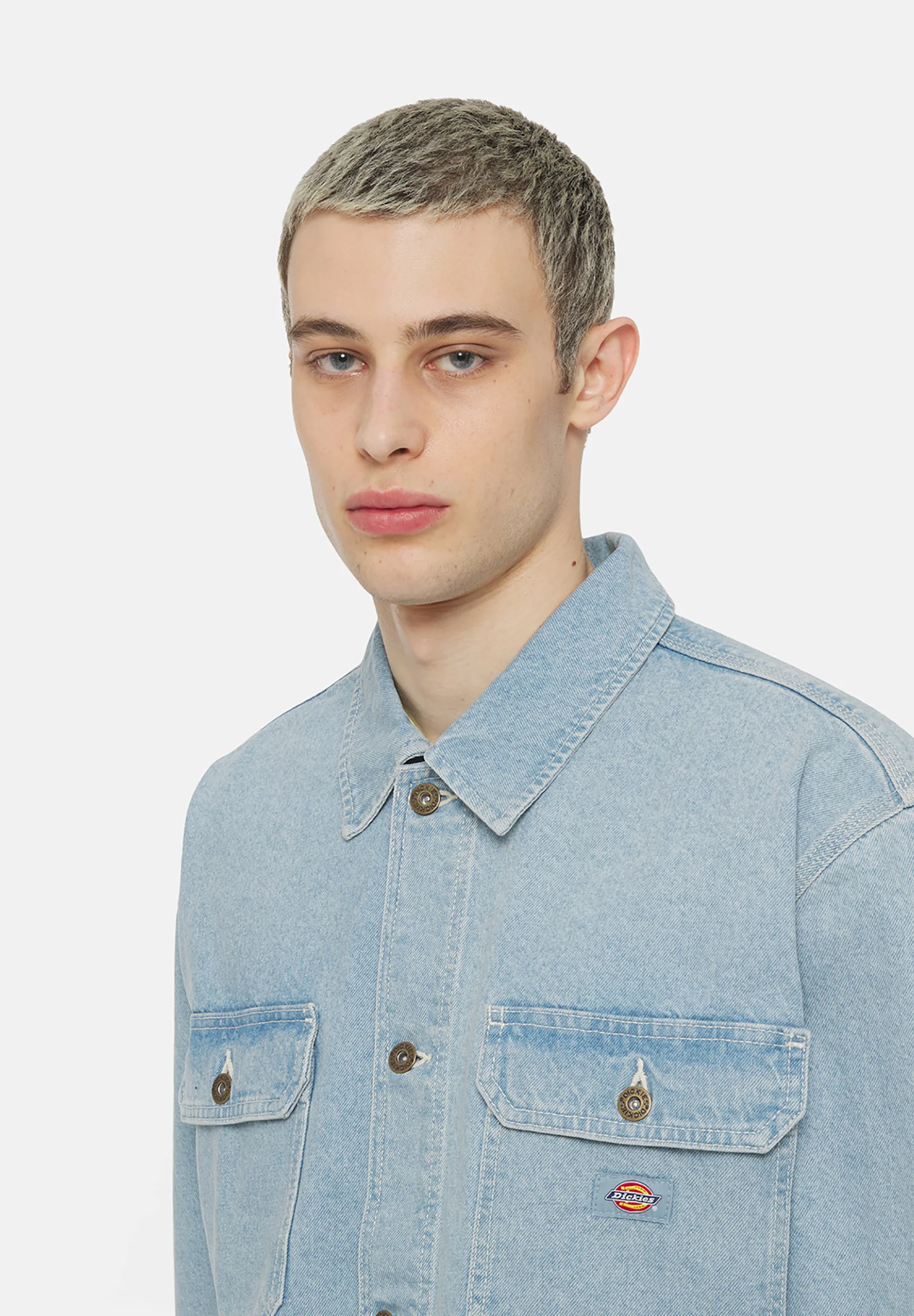 Dickies MADISON - Chaqueta vaquera