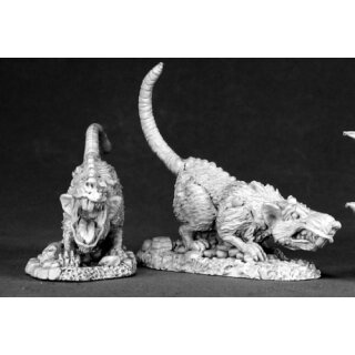 Barrow Rats (2)
