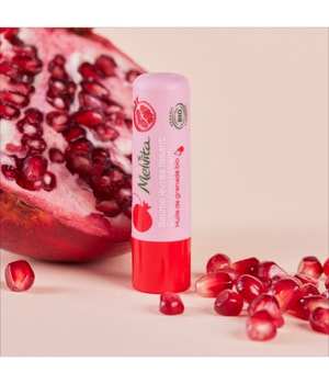 Melvita Glättender Lippenbalsam Lippenbalsam-3.5 g