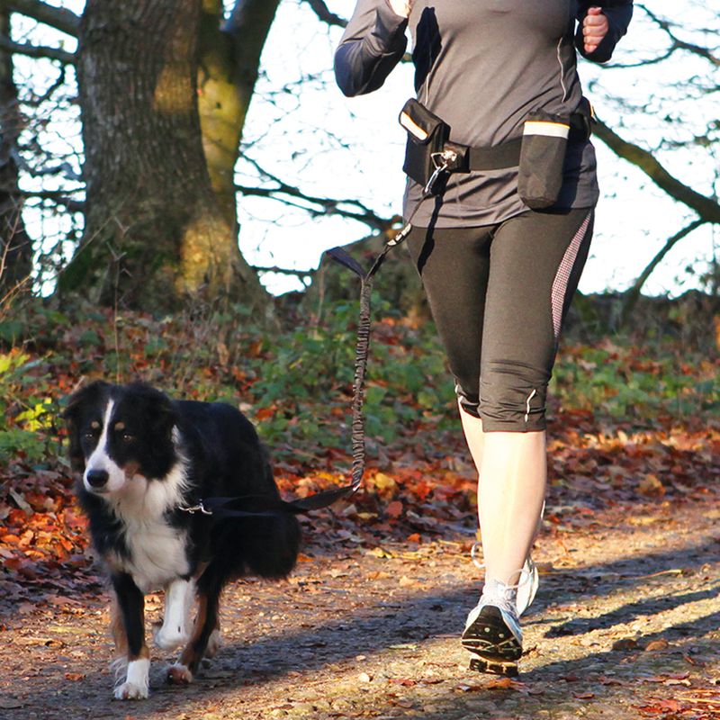 Trixie Hands Free Joggingleine zu TOP-Preisen