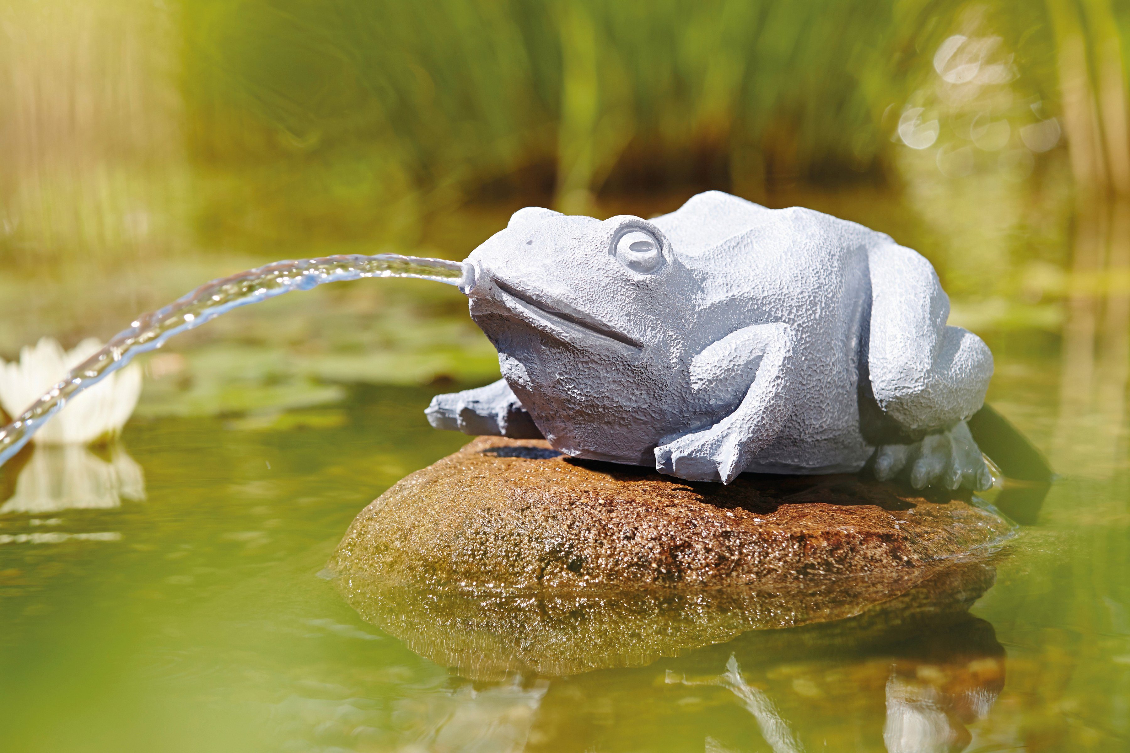 OASE Wasserspeier Frosch