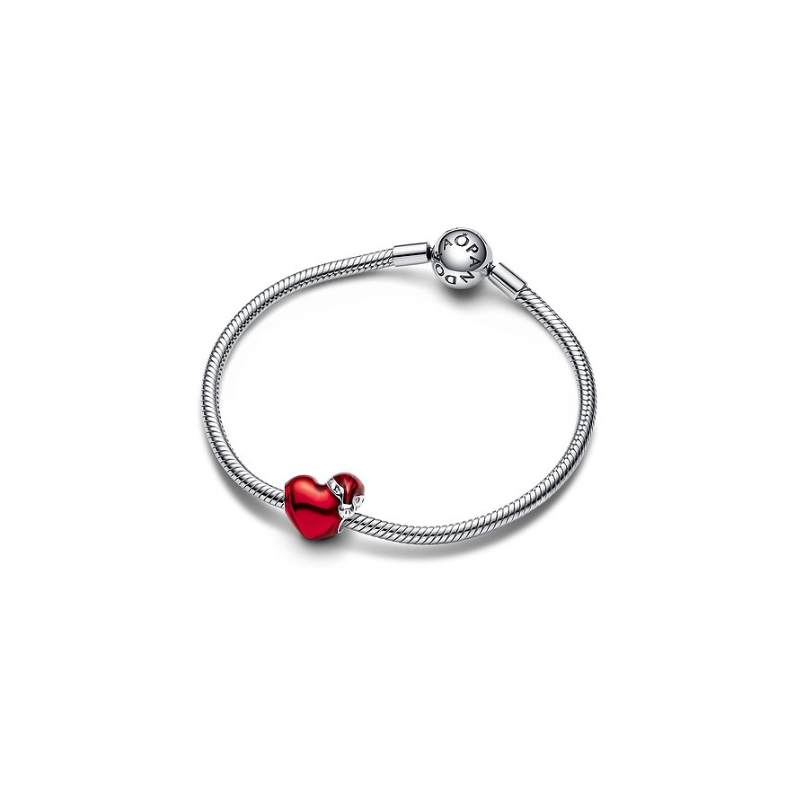 Pandora Charm Moments