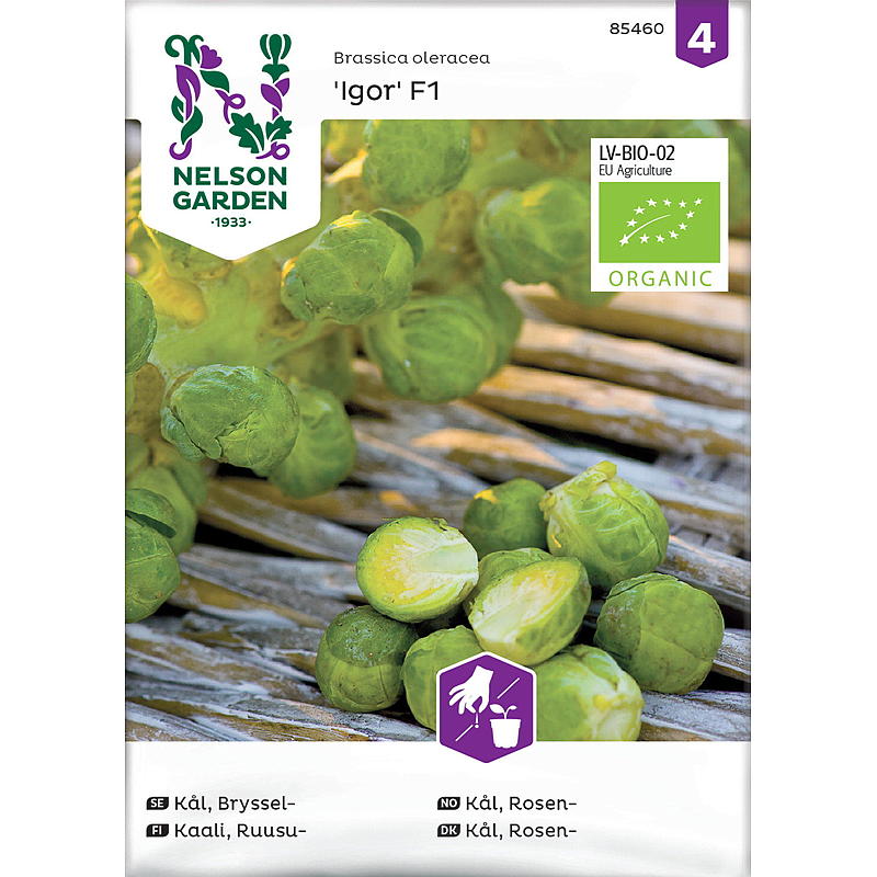 Nelson garden Frø Kål Rosen-, Igor F1, organic