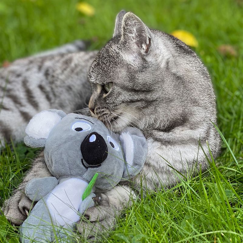 Aumüller Baldrian-Katzenspielkissen Koala Jack