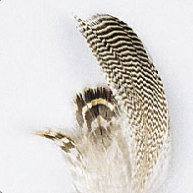 Fliegenbinden mit Krickentenfedern (JMC)