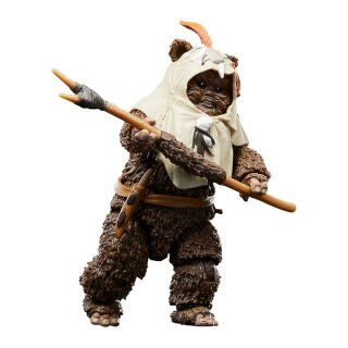 Star Wars Episode VI 40th Anniversary Black Series Actionfigur: Paploo