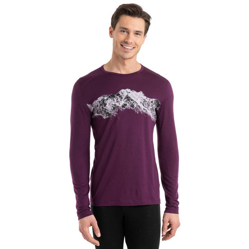 Icebreaker 200 Oasis Funktionsshirt Herren