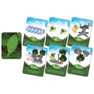 Kodama 3D (EN)