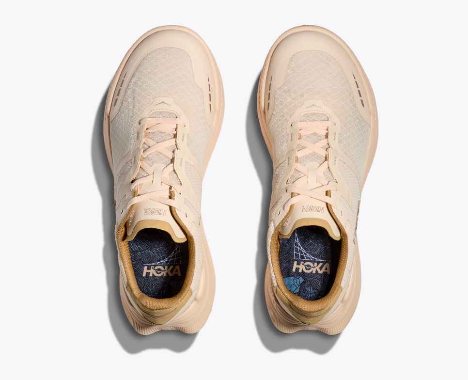 Transport X Vanilla / Wheat