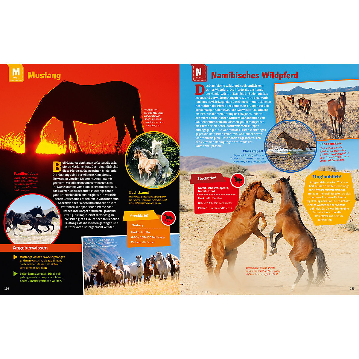 Was ist Was: Pferde und Ponys